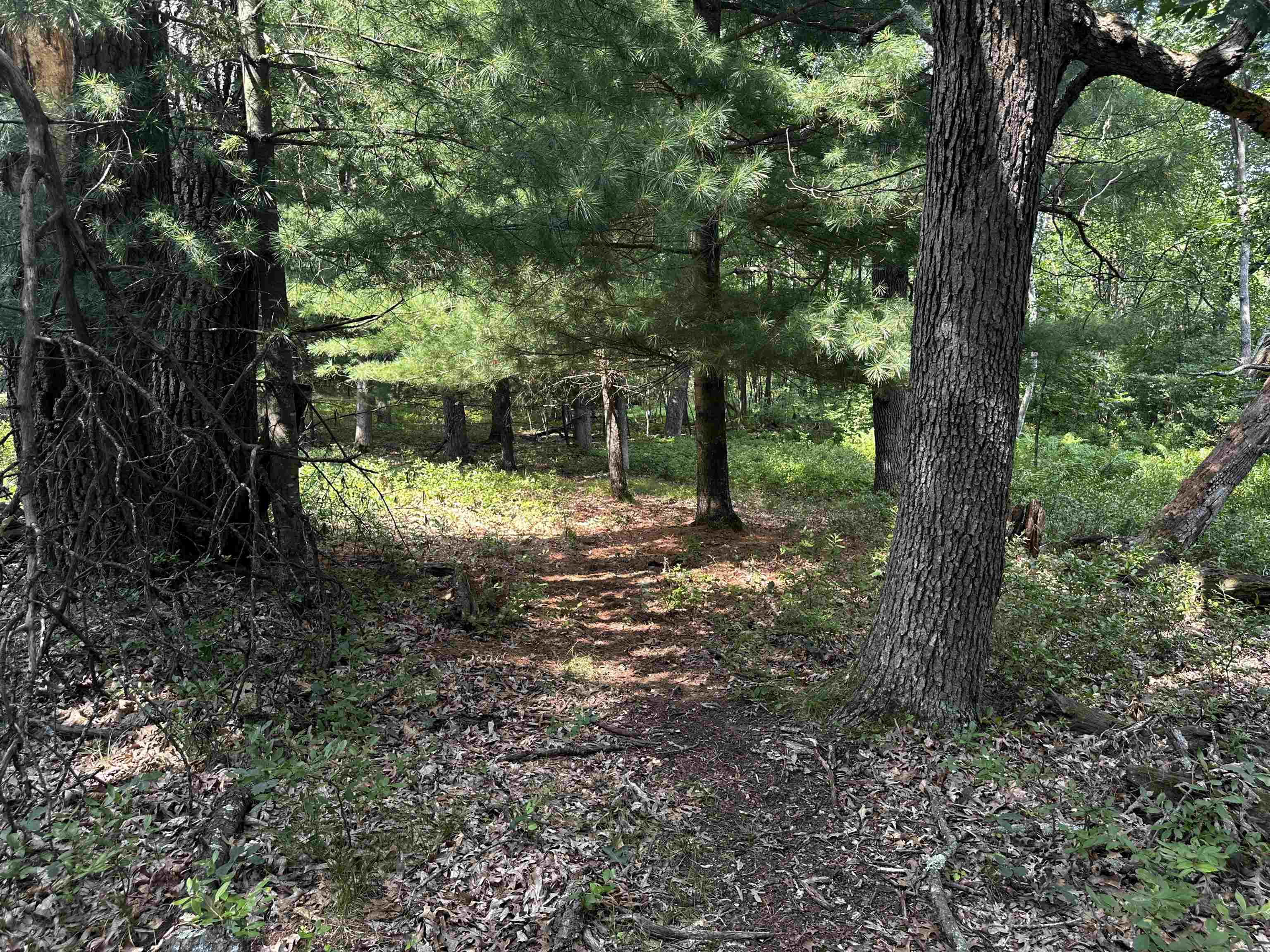 W968 Dover Road Neshkoro, WI 54960 - Photo 28 of 29 Gallery Image 28