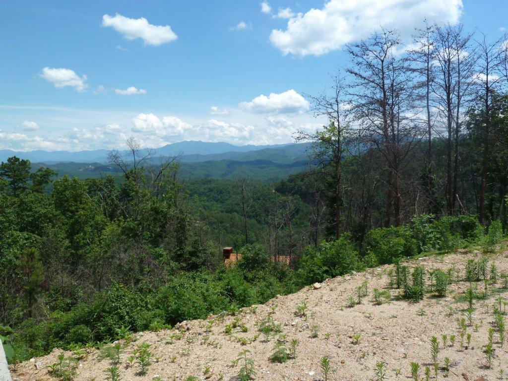 2109 Bluff Mountain Road Sevierville, TN 37862 - Photo 3 of 8 P1000900