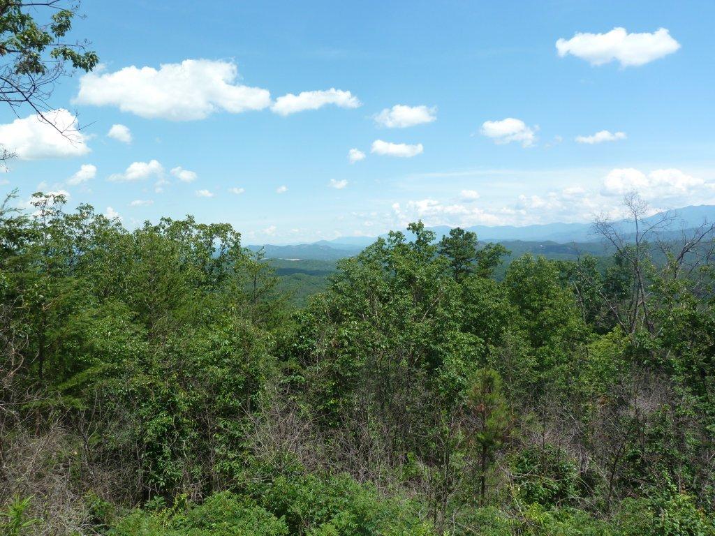 2109 Bluff Mountain Road Sevierville, TN 37862 - Photo 5 of 8 P1000902