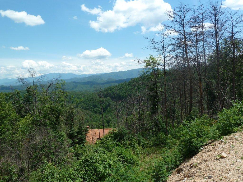 2109 Bluff Mountain Road Sevierville, TN 37862 - Photo 6 of 8 P1000903