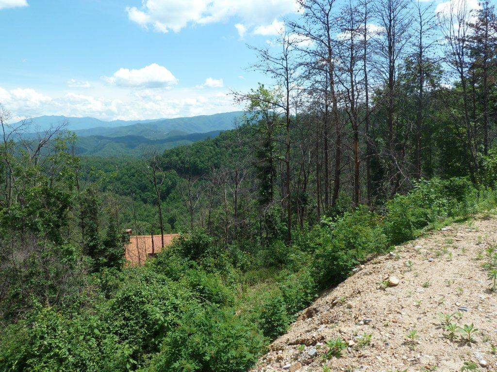 2109 Bluff Mountain Road Sevierville, TN 37862 - Photo 8 of 8 P1000905