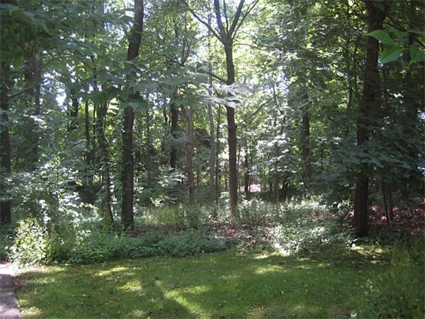 852 High Street Dedham, MA 02026 - Photo 3 of 4 Gallery Image 3