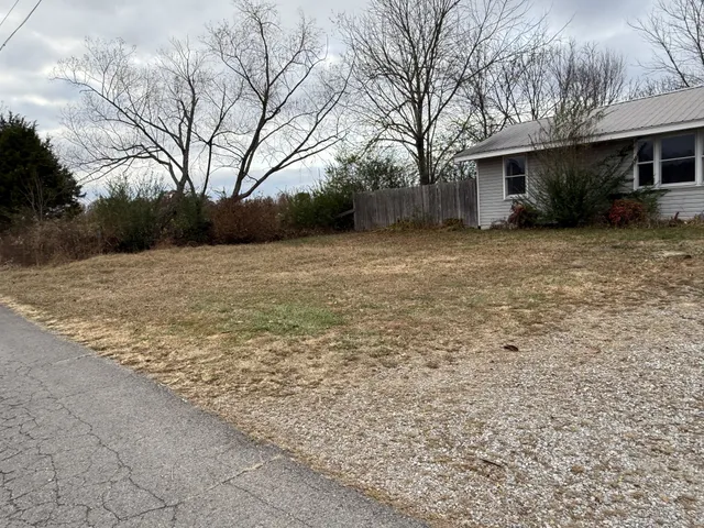 a front view of house with yard and trees