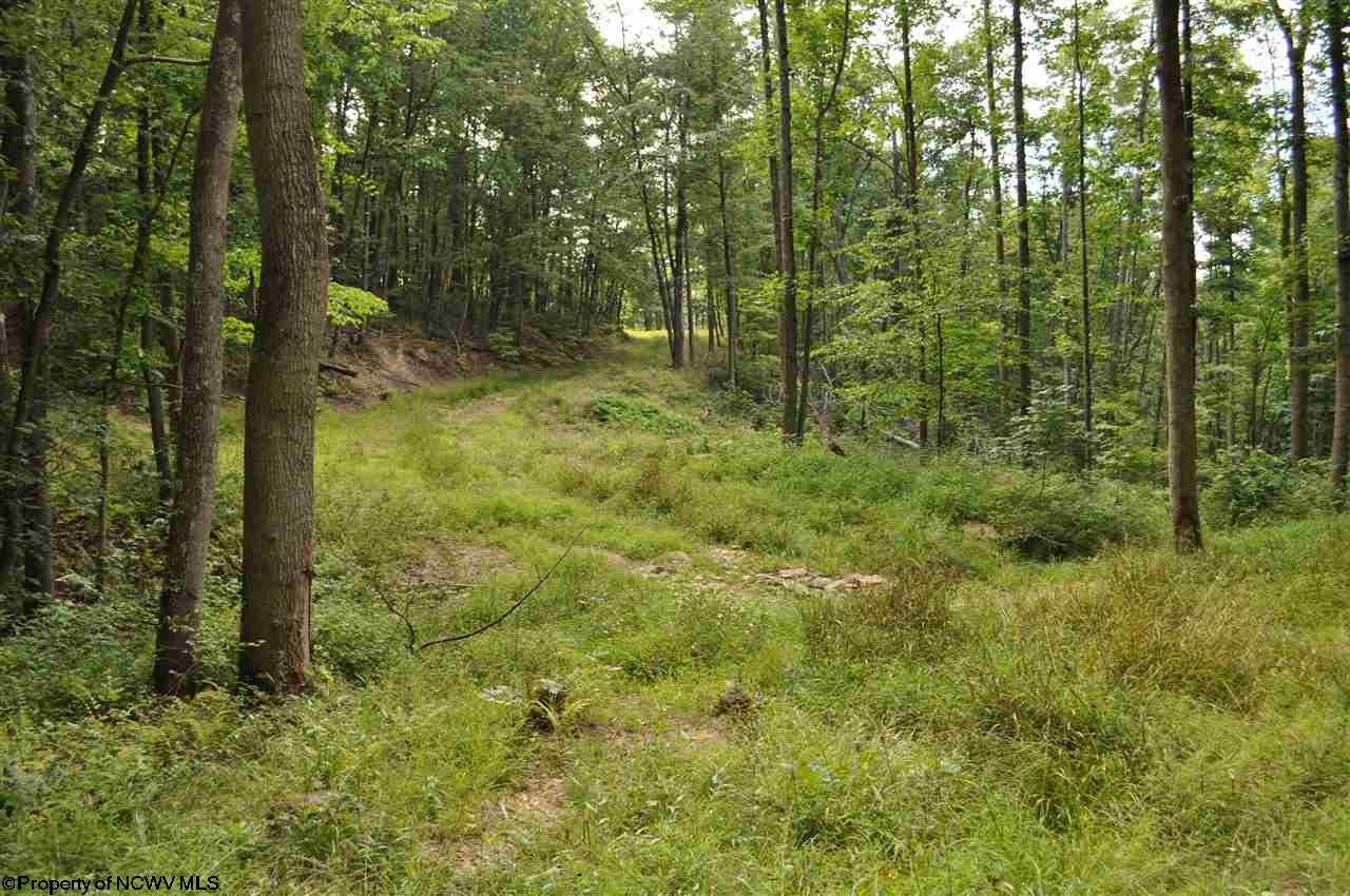 575 Fairview Road Independence, WV 26374 - Photo 16 of 20 Gallery Image 16