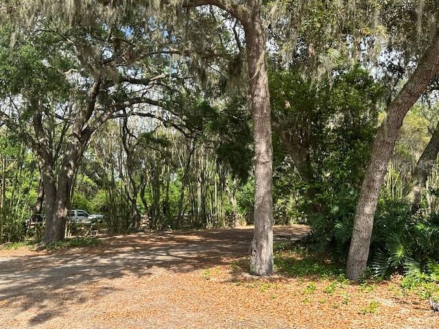 0 Country Club Road Winter Haven, FL 33881 - Photo 4 of 9 a tree is standing in between the trees