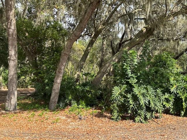 0 Country Club Road Winter Haven, FL 33881 - Photo 5 of 9 a view of a yard with a tree