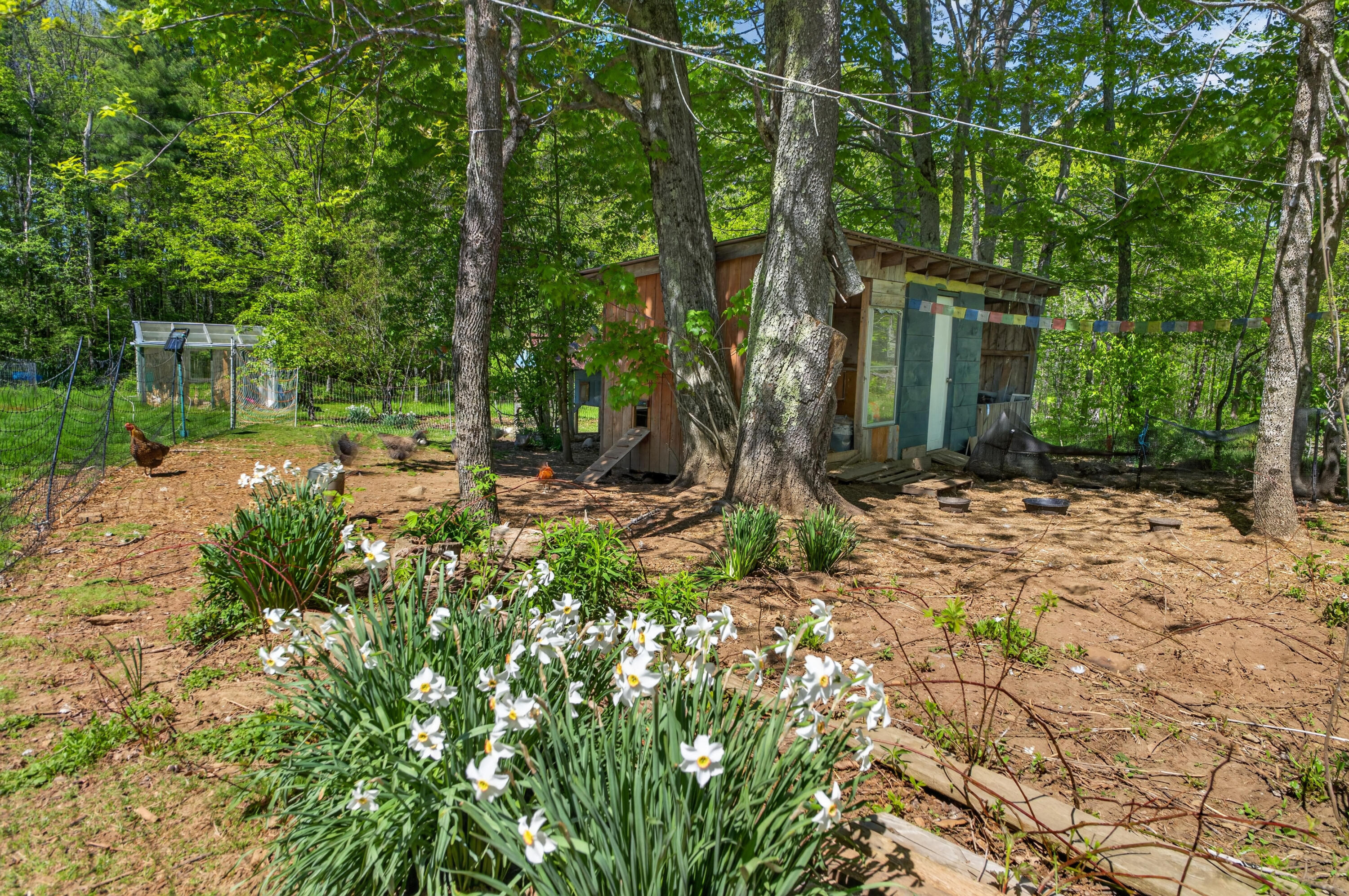 426 Bay Road Bowdoinham, ME 04008 - Photo 73 of 92 426 Bay Road_0191