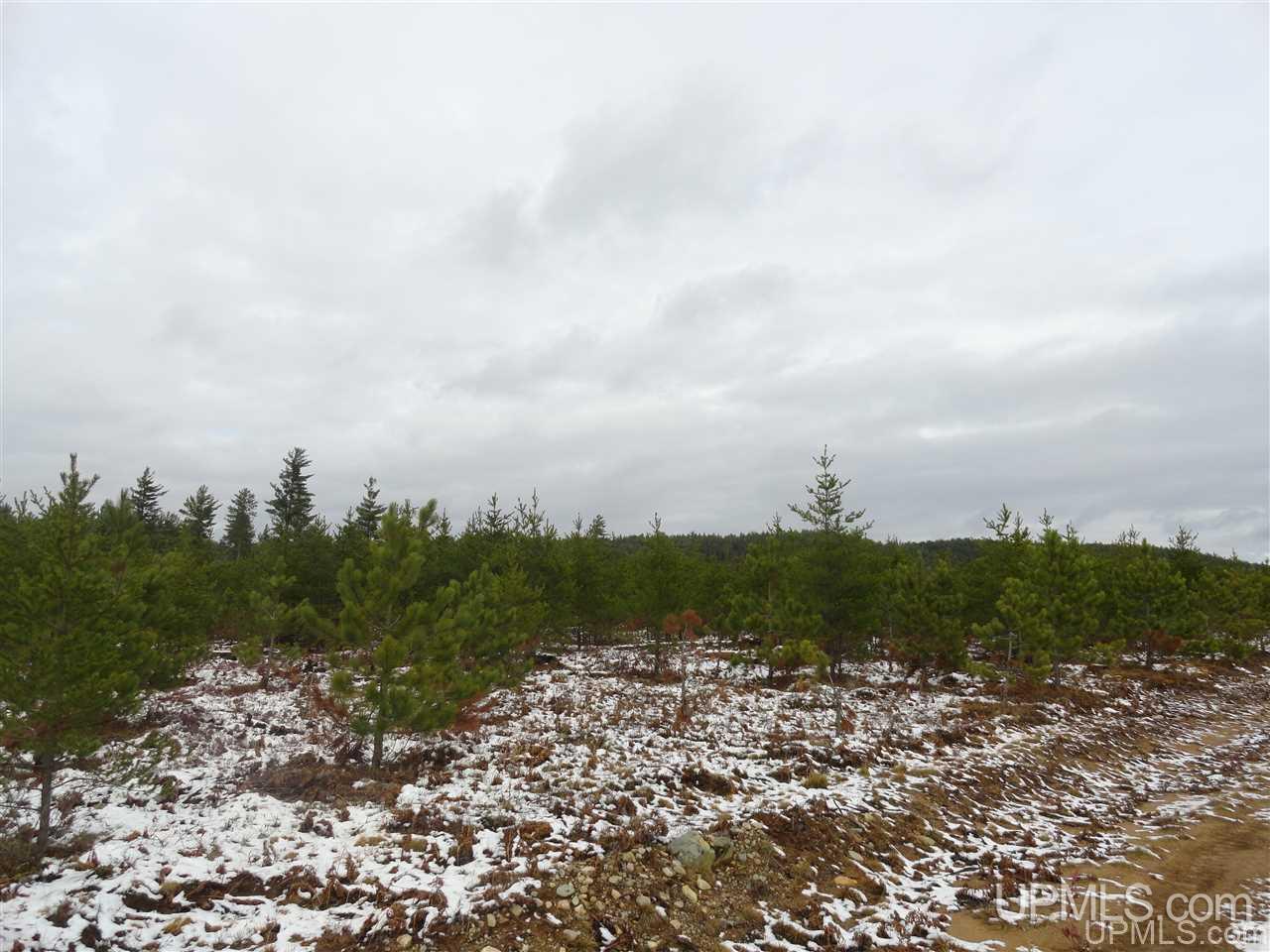 80-acres 80-acres Co Road Negaunee, MI 49866 - Photo 23 of 45