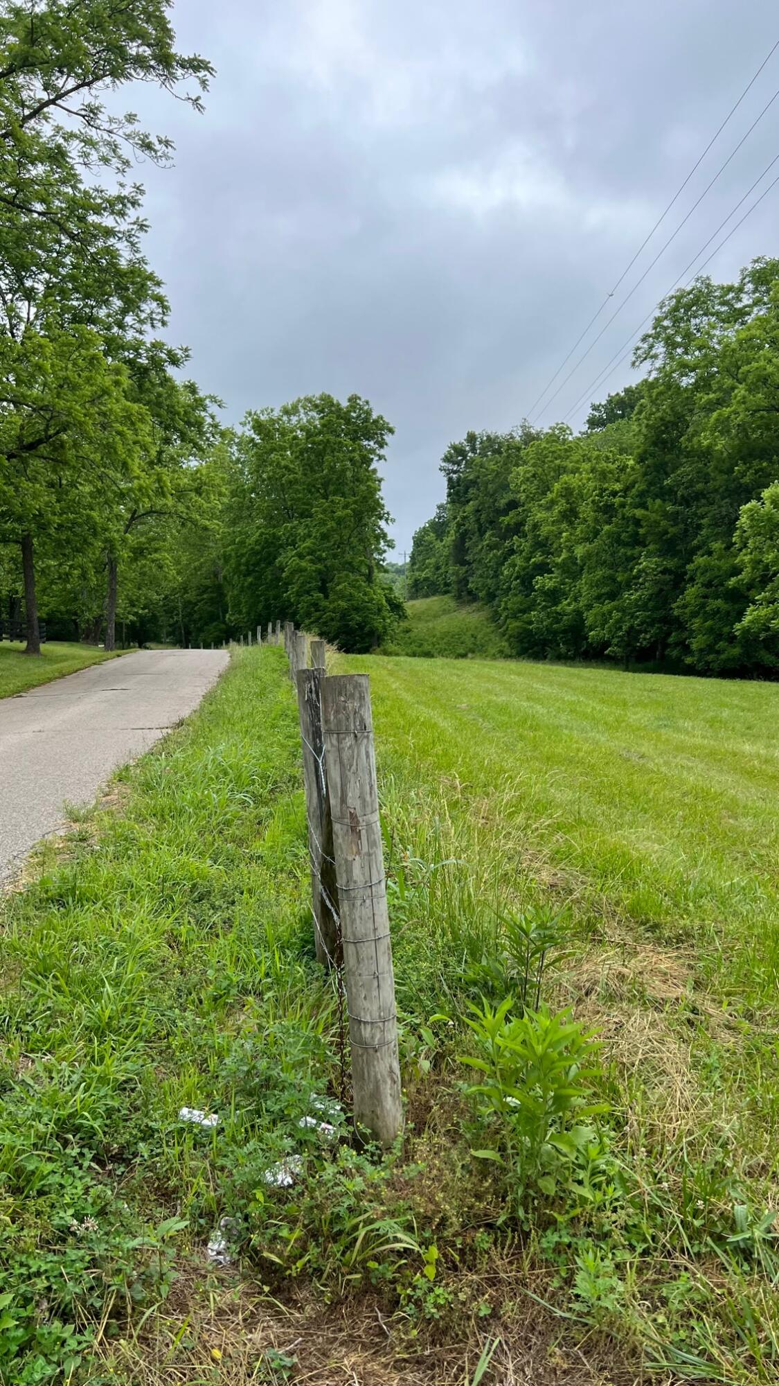 10885 B Napoleon-Zion Station Road Dry Ridge, KY 41035 - Photo 36 of 43
