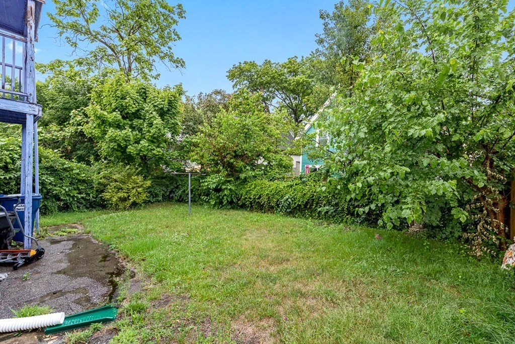 101 Reed Street Cambridge, MA 02140 - Photo 15 of 15 a view of a yard with a tree