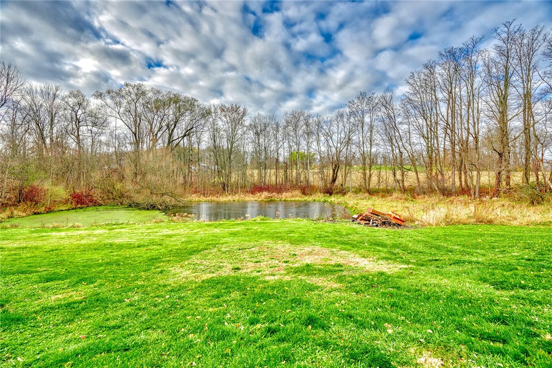 13088 Ridge Road Wolcott, NY 14590 - Photo 44 of 46 POND