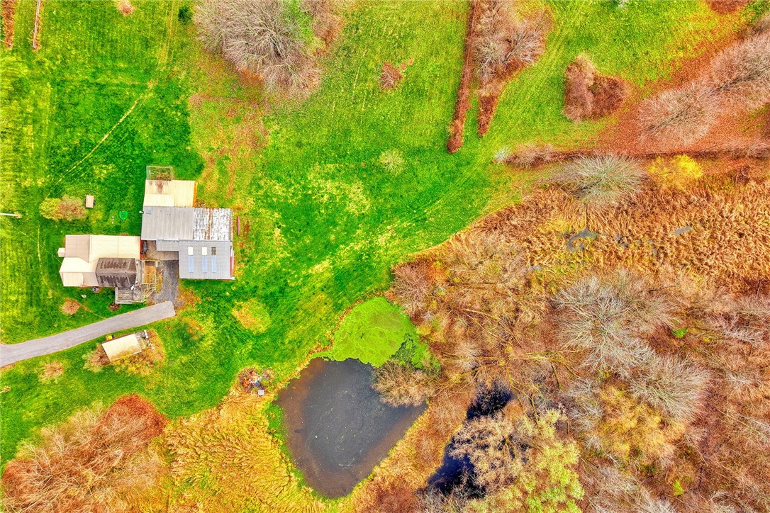13088 Ridge Road Wolcott, NY 14590 - Photo 6 of 46 OVERHEAD VIEW