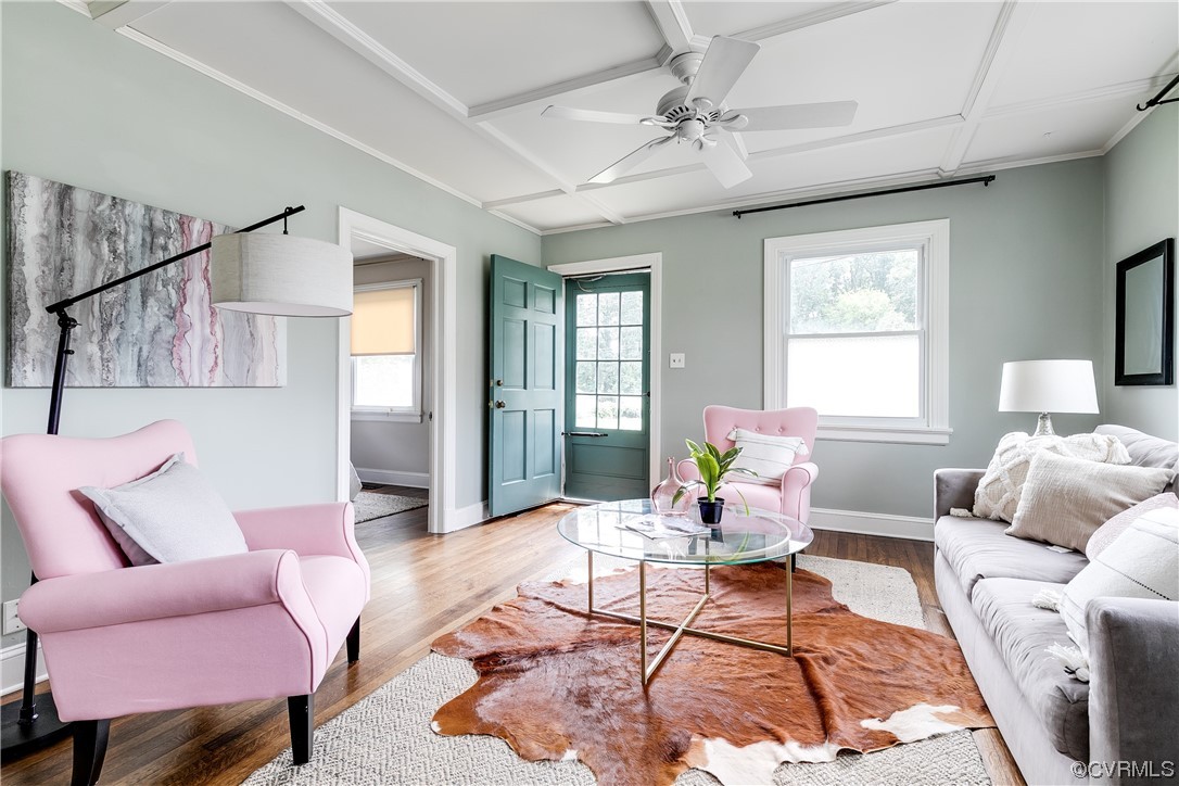 5210 Penick Road Richmond, VA 23228 - Photo 8 of 32 Bright Living Room. How 'bout that ceiling!