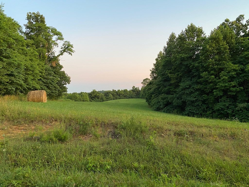38-ac Independence Ridge Road Breeding, KY 42715 - Photo 10 of 10 Gallery Image 10