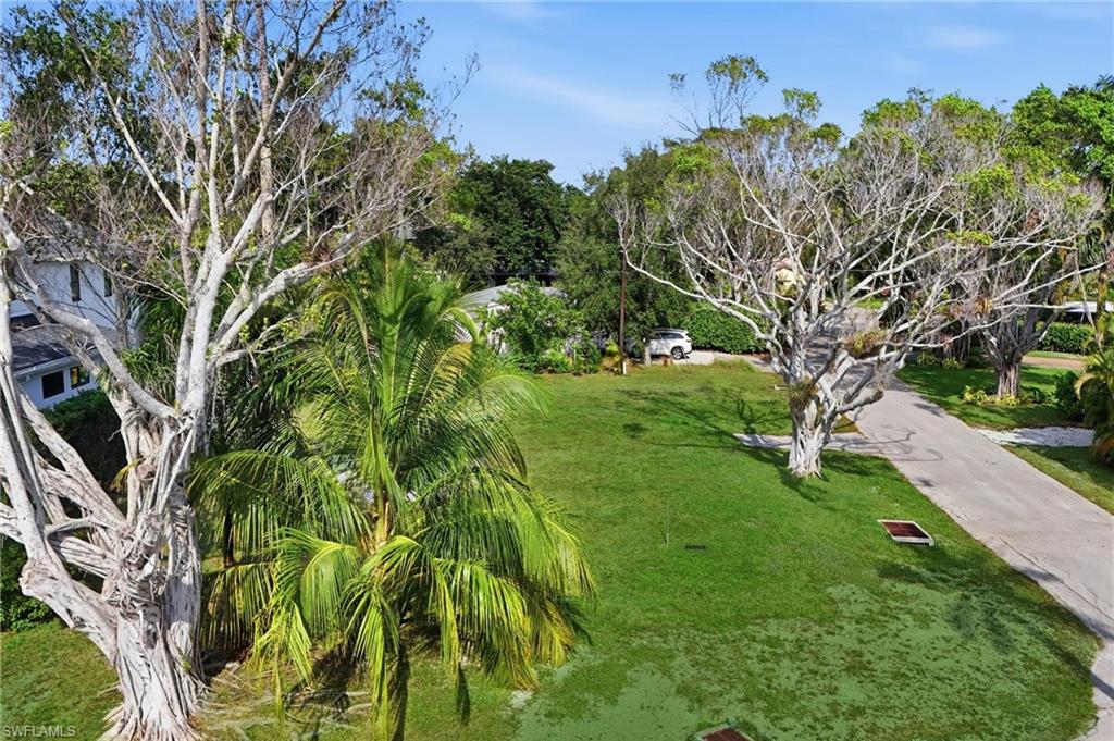 1165 8th Terrace North Naples, FL 34102 - Photo 2 of 11 a view of a garden with a tree