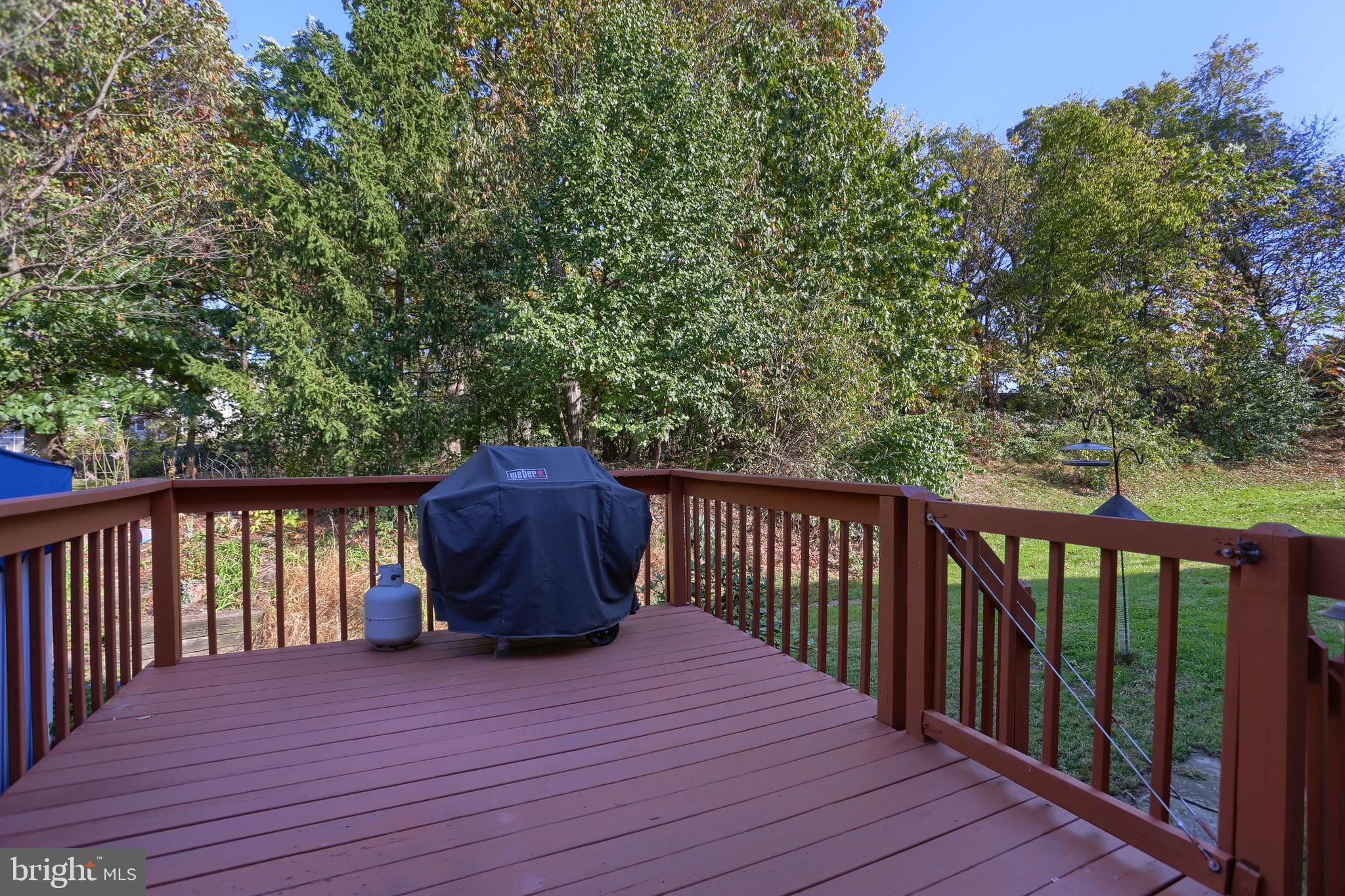 43 Heron Road Lititz, PA 17543 - Photo 29 of 32 Rear Deck