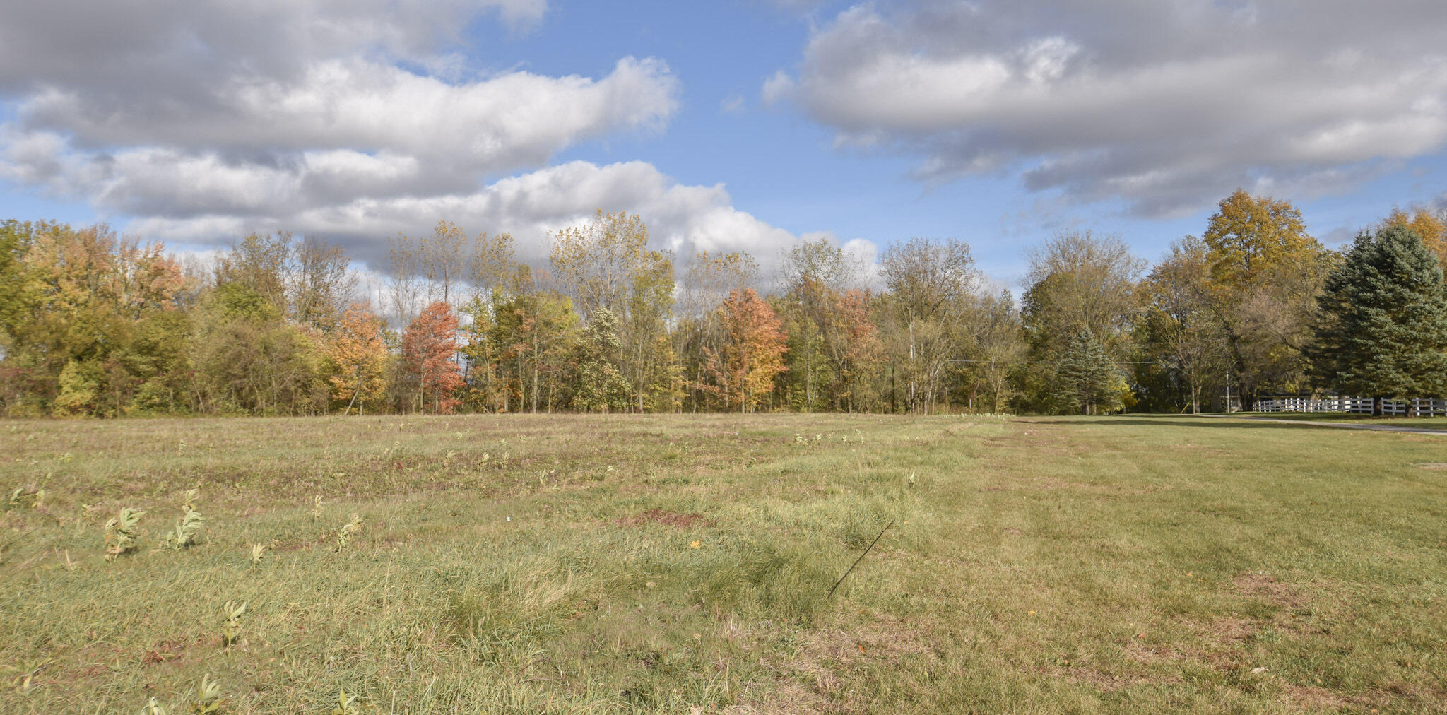 DSC_0481 (1)