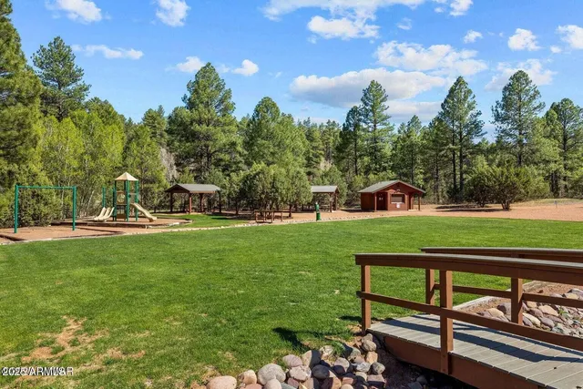 a view of a park with large trees