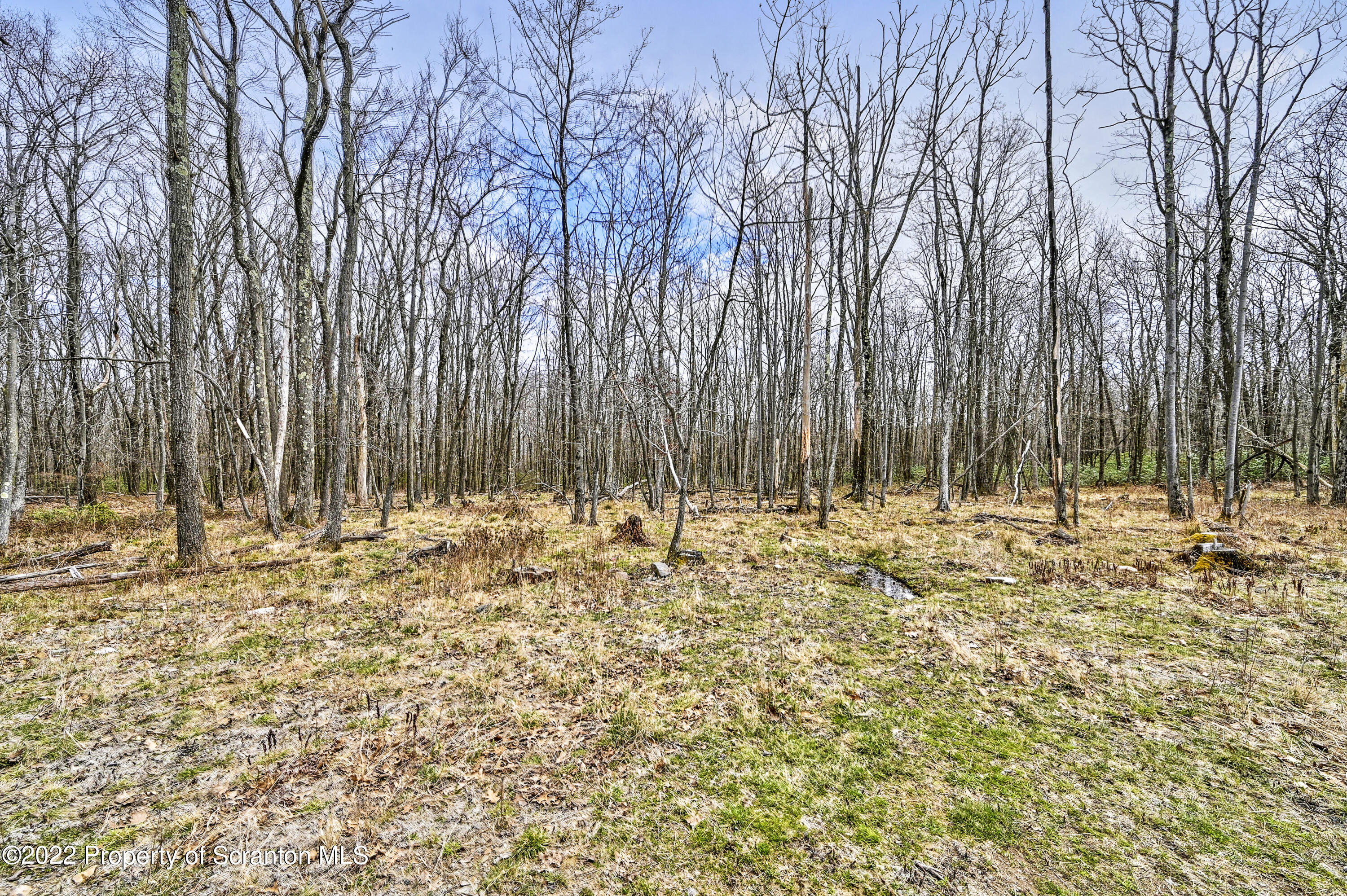 74 Little Lake Road Lake Ariel, PA 18436 - Photo 59 of 64 Gallery Image 59