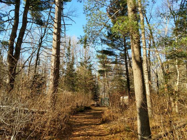 6525 Numa Road Hazelhurst, WI 54531 - Photo 2 of 17 Gallery Image 2