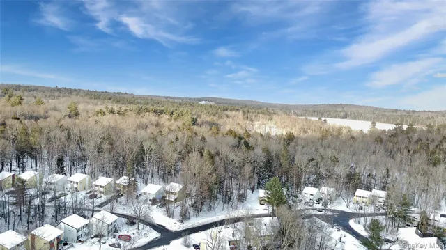 a view of a city with lush green forest