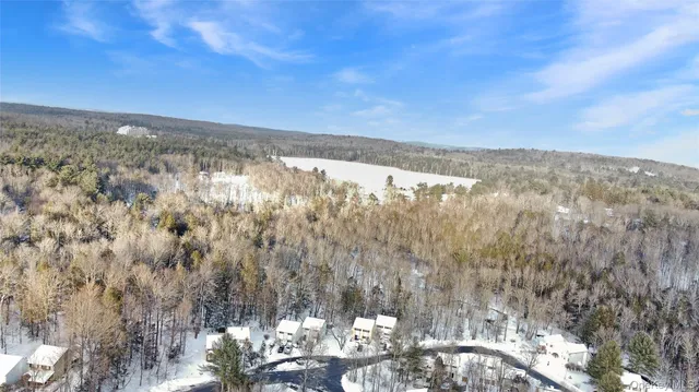 a view of city and mountain