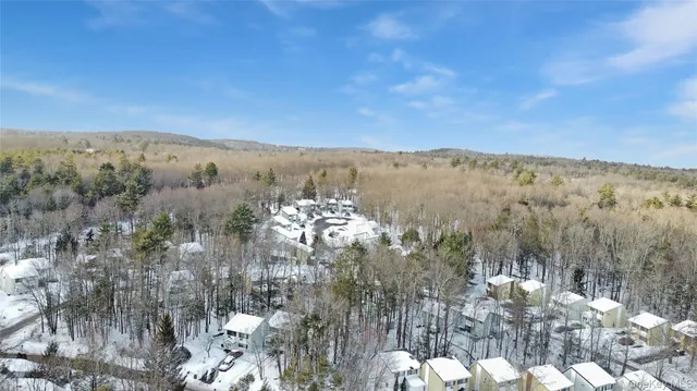 a view of a city with mountains in the background