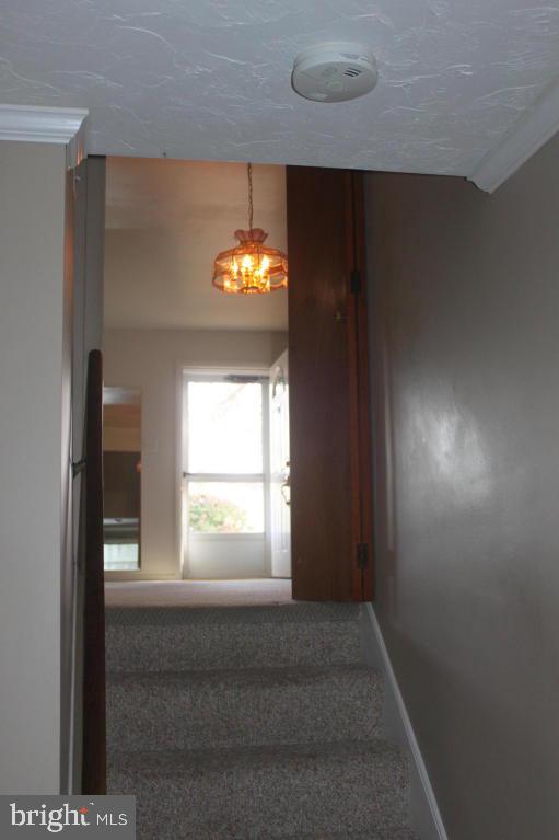 410 West Marion Street Lititz, PA 17543 - Photo 17 of 29
