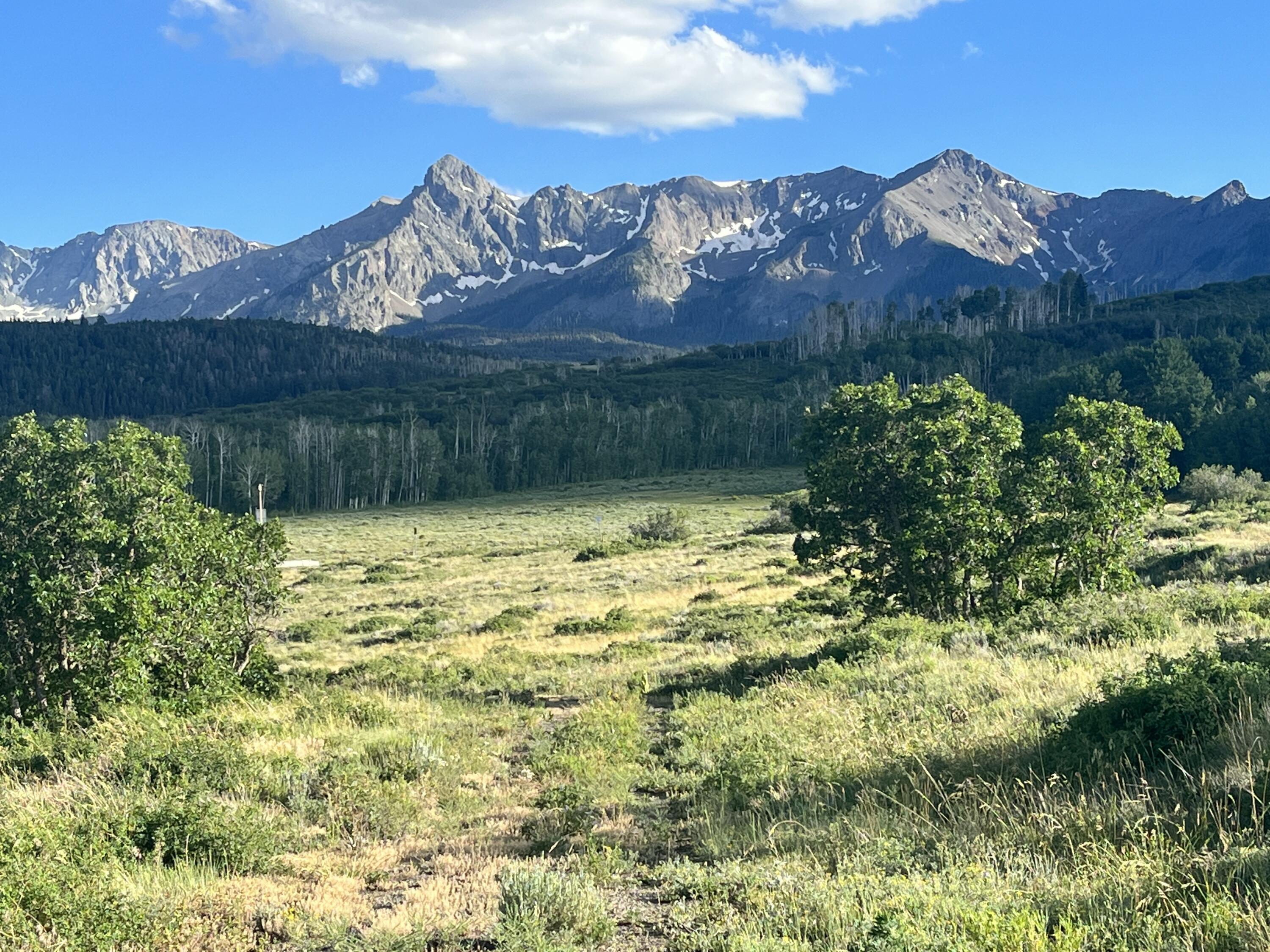 62 Highway 62 Ridgway, CO 81432 - Photo 3 of 13 Gorgeous views