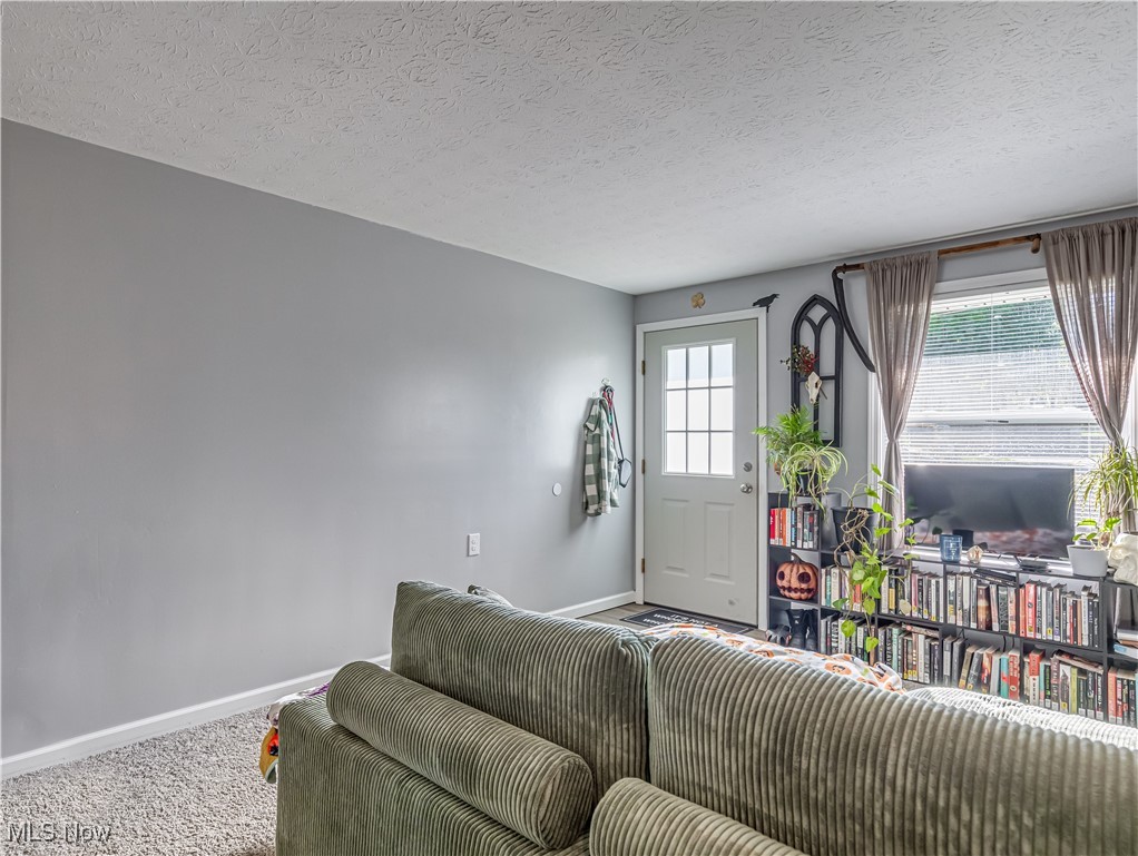 1119 Chaparrel Road Southwest Hartville, OH 44632 - Photo 12 of 23 Living room with plenty of natural light, carpet, and a textured ceiling