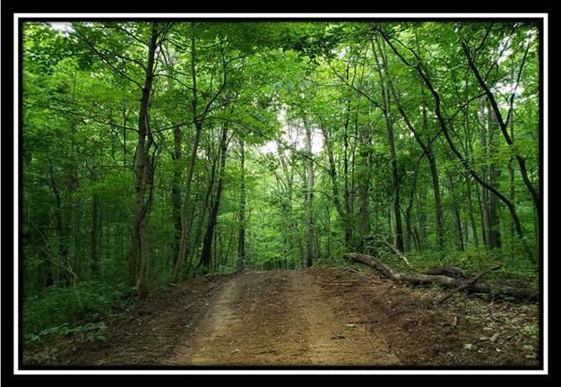 0 Pedigo Ridge Road, Unit TRACT 6) Nelsonville, OH 45764 - Photo 15 of 57 image015
