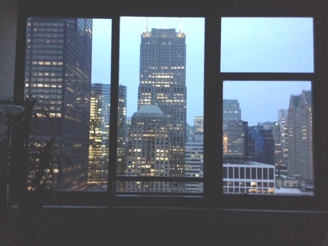 235 West Van Buren Street, Unit 3820 Chicago, IL 60607 - Photo 38 of 38 a view of a building from a window