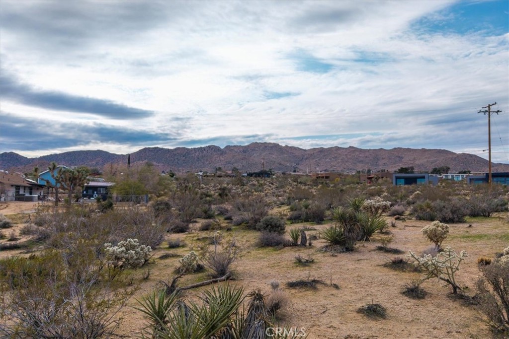 7032 Saddleback Road Joshua Tree, CA 92252 - Photo 18 of 40 a view of a mountain in the distance in a field