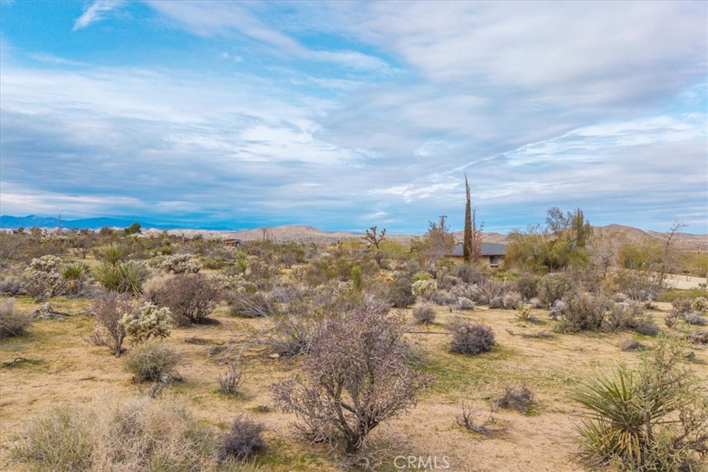 7032 Saddleback Road Joshua Tree, CA 92252 - Photo 22 of 40