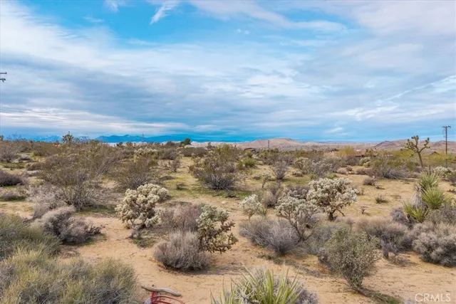 a view of city and mountain