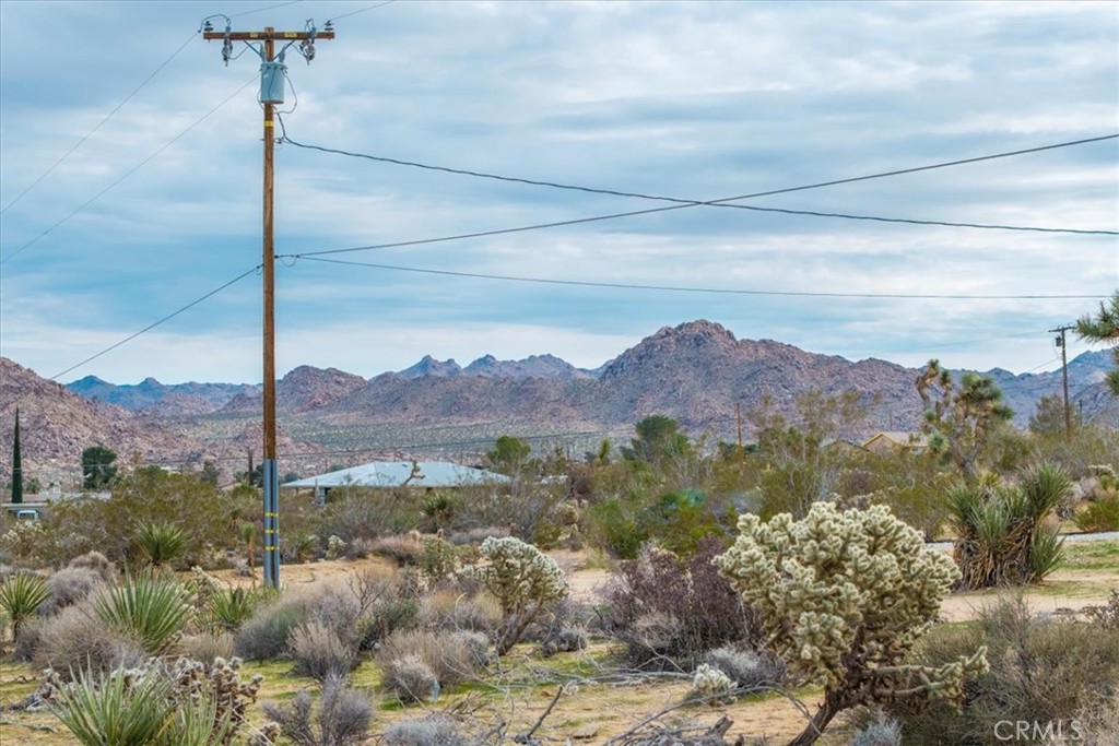 7032 Saddleback Road Joshua Tree, CA 92252 - Photo 29 of 40 a view of a city with mountain
