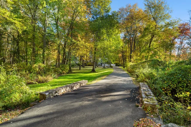 a view of a garden with pathway