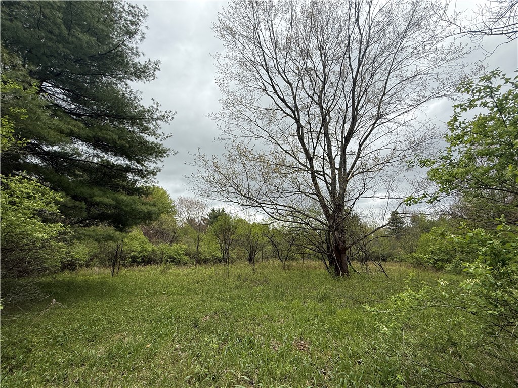 Caswell Road Freeville, NY 13068 - Photo 15 of 47