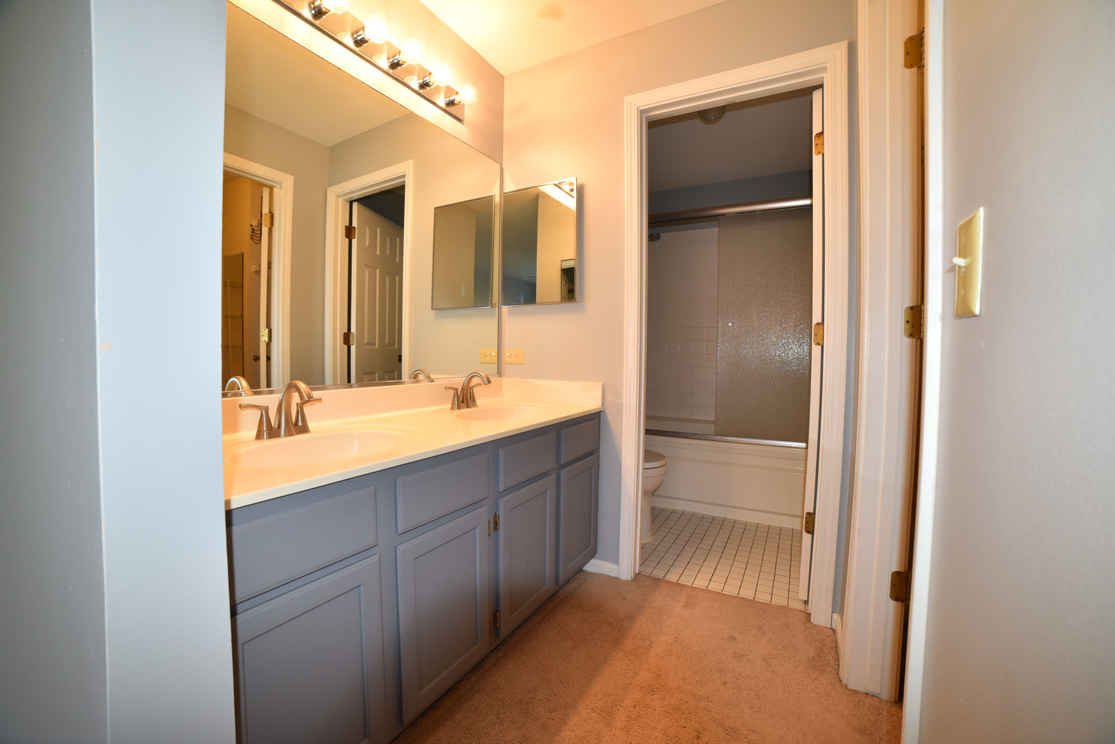 2545 Live Oak Lane Buffalo Grove, IL 60089 - Photo 16 of 21 a bathroom with a double vanity sink mirror and double