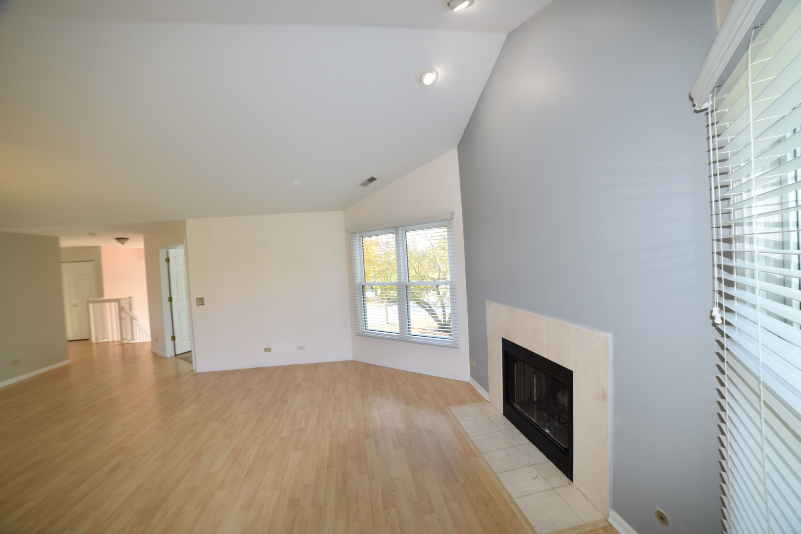 2545 Live Oak Lane Buffalo Grove, IL 60089 - Photo 4 of 21 an empty room with wooden floor and fireplace
