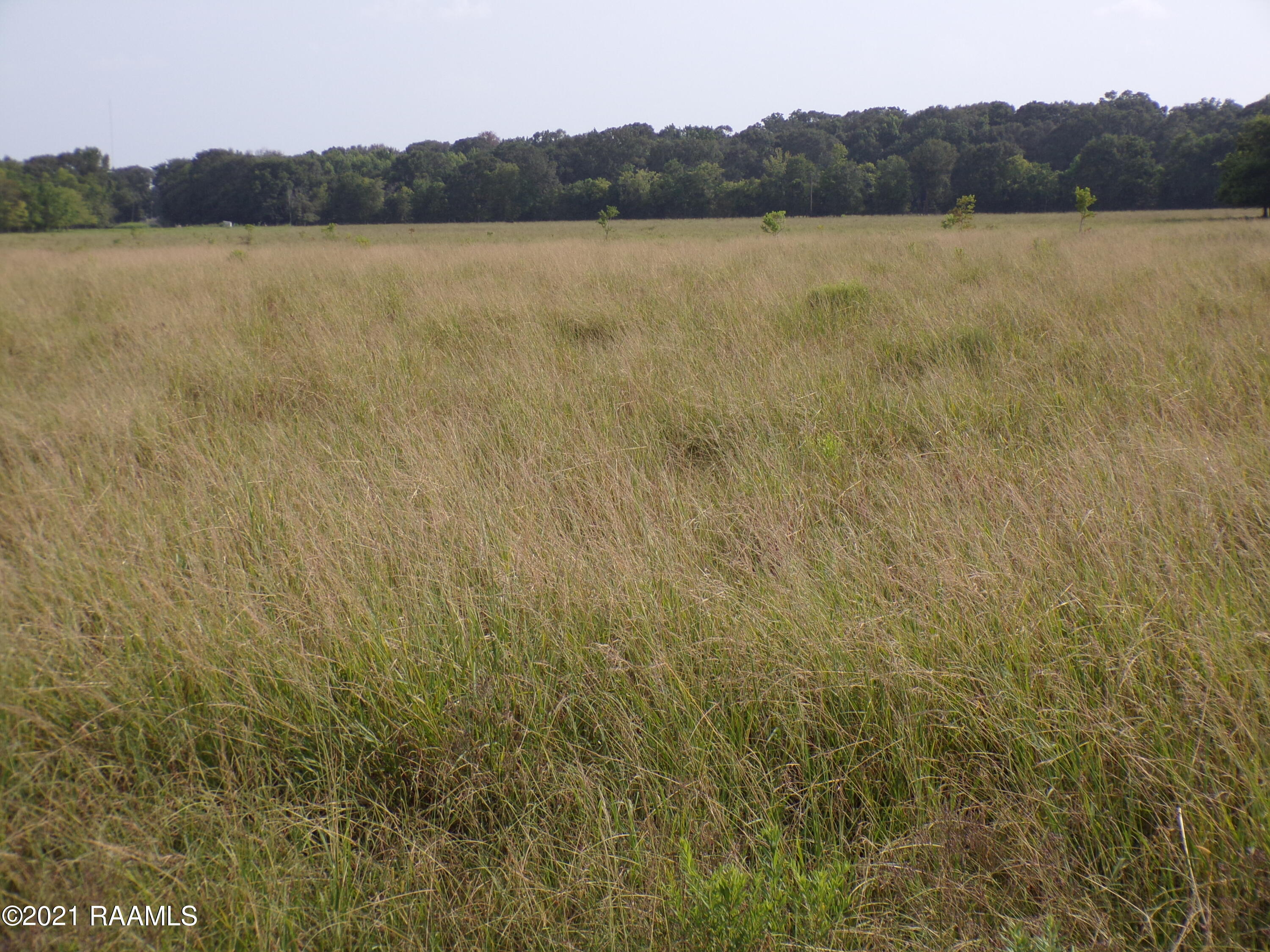 3 Duplechain Church Point Church Point, LA 70525 - Photo 5 of 9