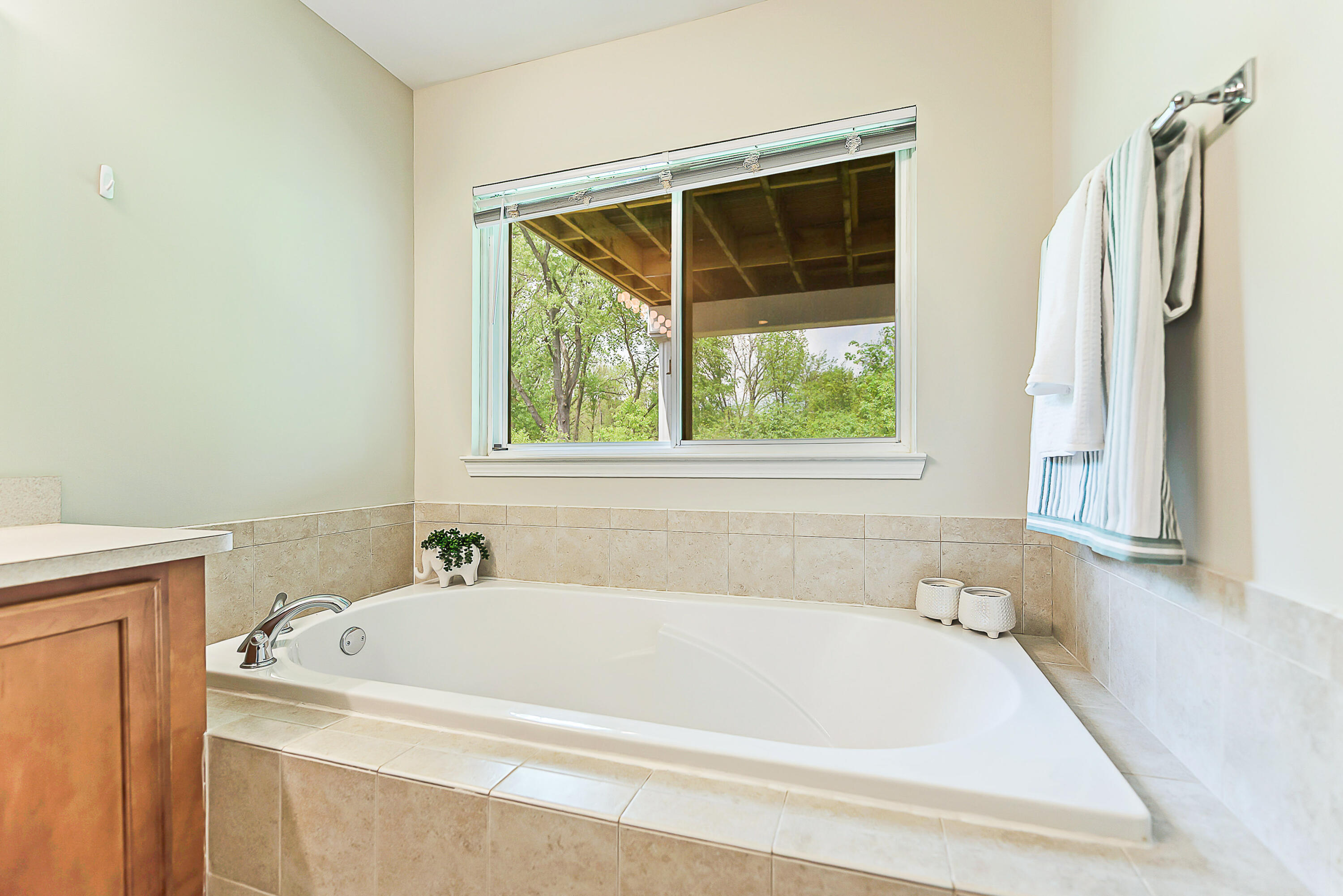 3195 Asher Road Ann Arbor, MI 48104 - Photo 28 of 52 DSC_9797-2