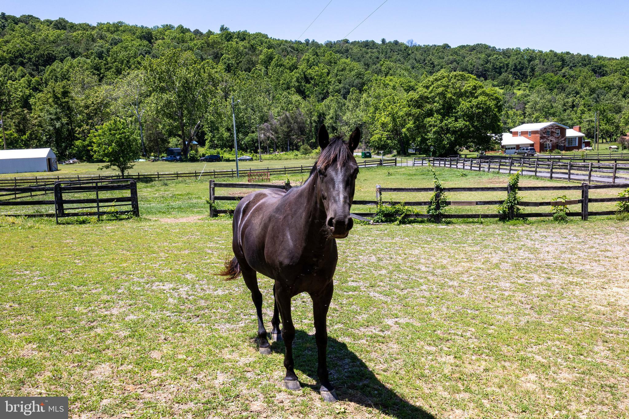 3259 Ida Road Luray, VA 22835 - Photo 131 of 139