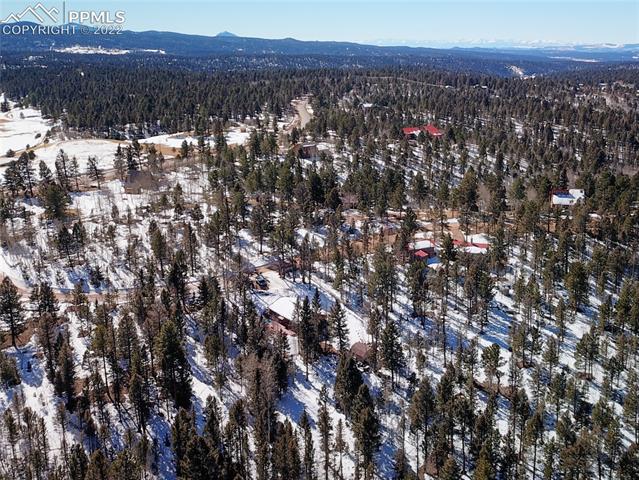 117 Wayward Wind Road Divide, CO 80814 - Photo 30 of 38 Gallery Image 30