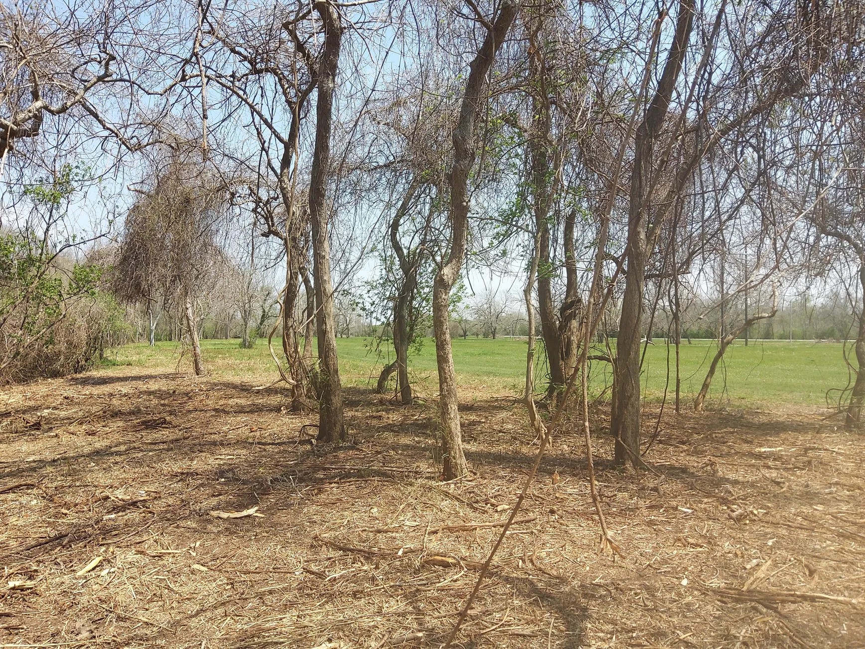 Lot 2 Fm 521 Angleton, TX 77515 - Photo 18 of 26