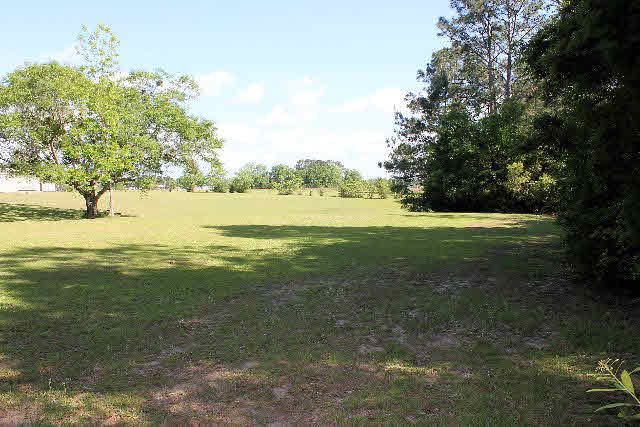12836 Anna's Way Stapleton, AL 36578 - Photo 38 of 43 Deer Run