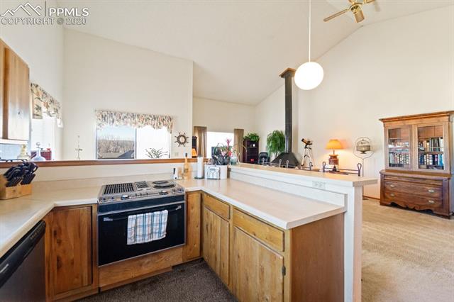 316 Raspberry Lane Monument, CO 80132 - Photo 9 of 26 Gallery Image 9