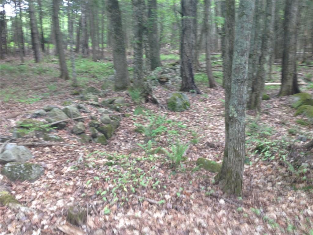 66 Deer Run Lane Ripley, ME 04930 - Photo 9 of 20 Photo