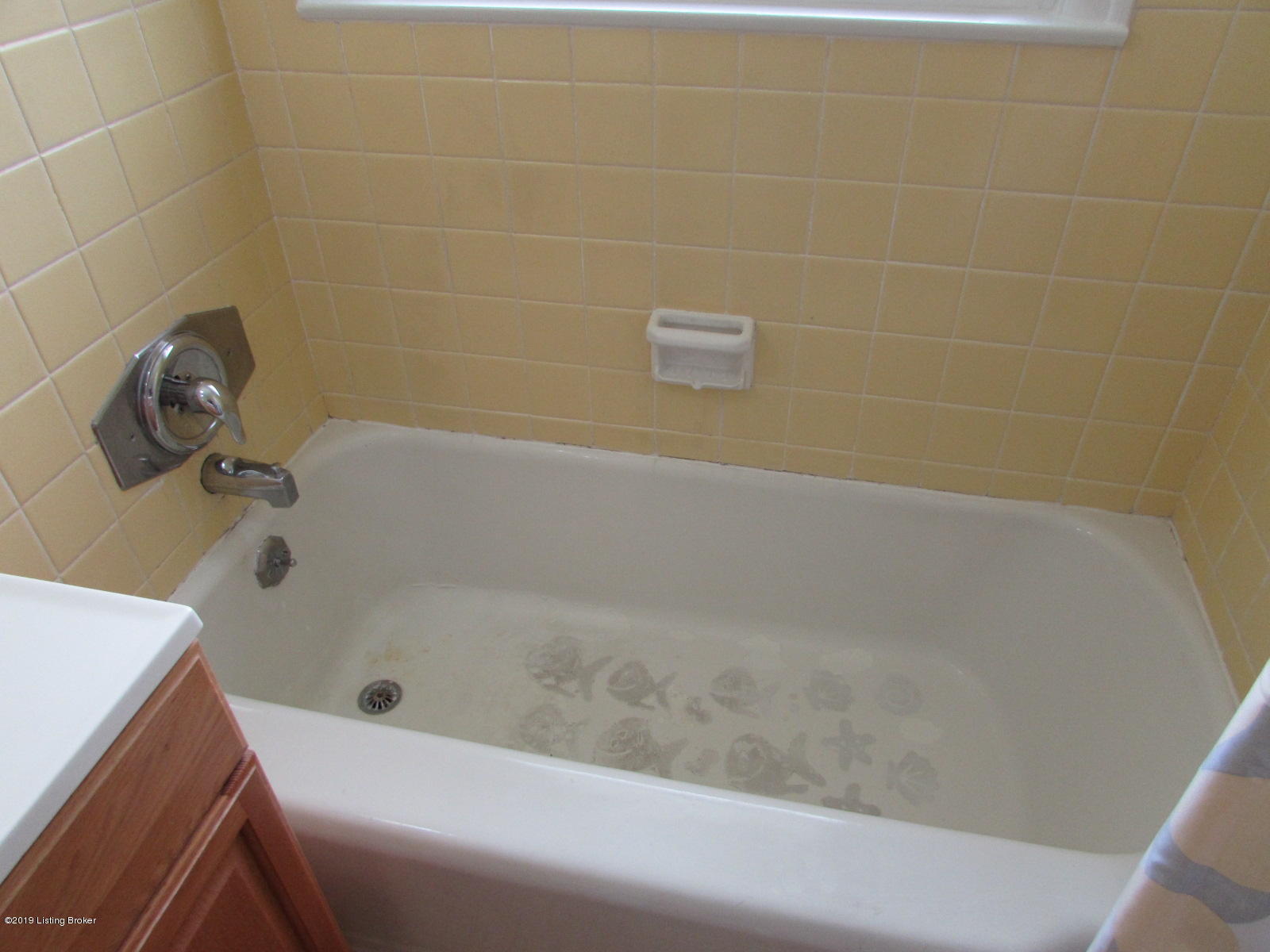 2925 Rio Rita Avenue Louisville, KY 40220 - Photo 11 of 23 Tub