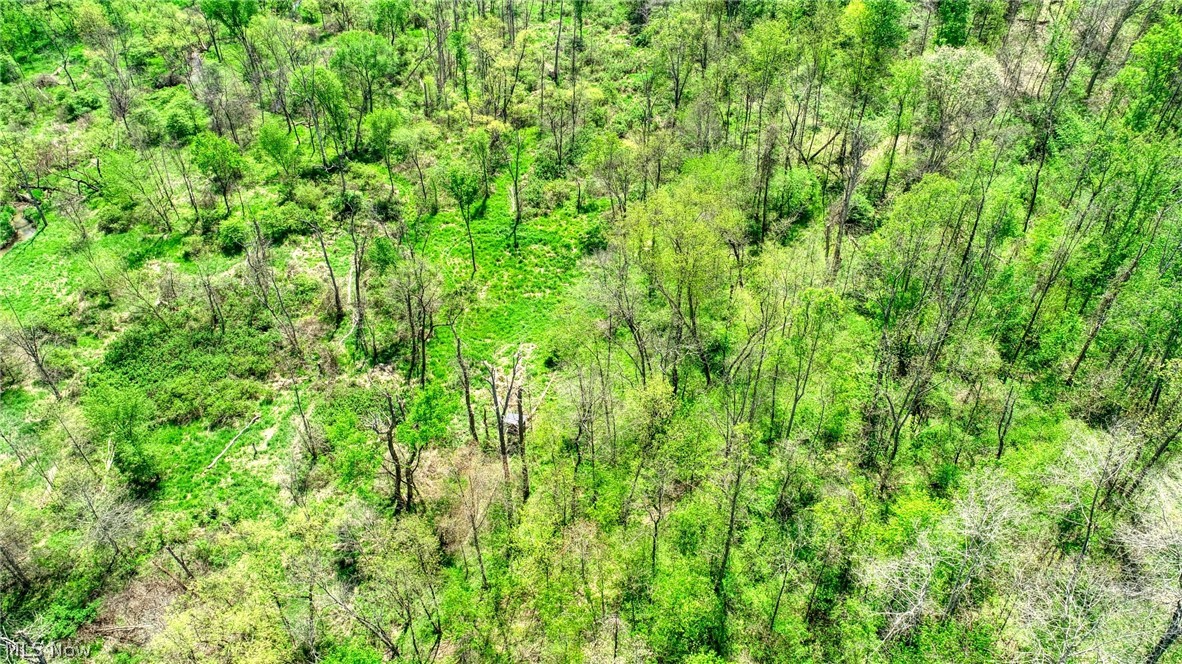 6820 Crane Run Road Cumberland, OH 43732 - Photo 11 of 17
